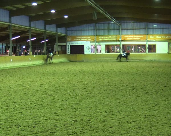 Reitturnier Appelhülsen 2023