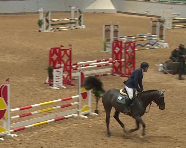 Reitturnier Kreuth/Opf. 2023