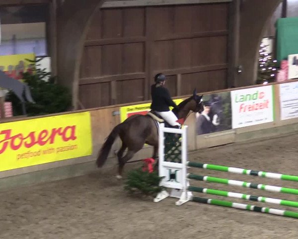 Reitturnier Leck 2023