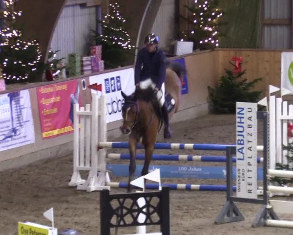 Reitturnier Leck 2023