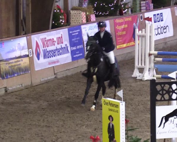 Reitturnier Leck 2023