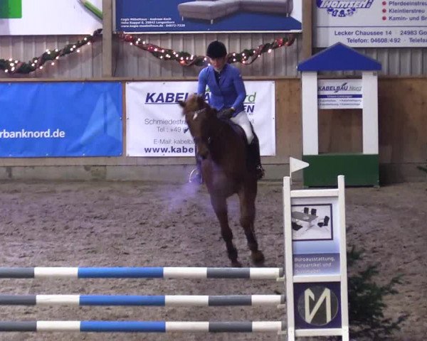 Reitturnier Leck 2023