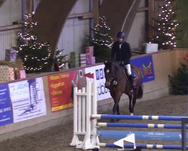 Reitturnier Leck 2023