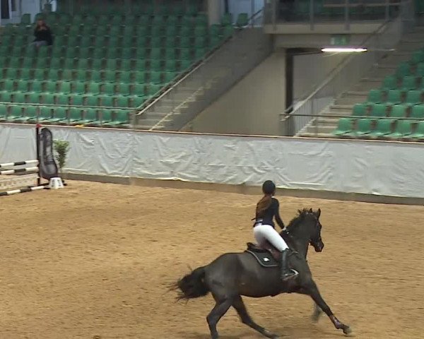 Reitturnier Kreuth/Opf. 2023