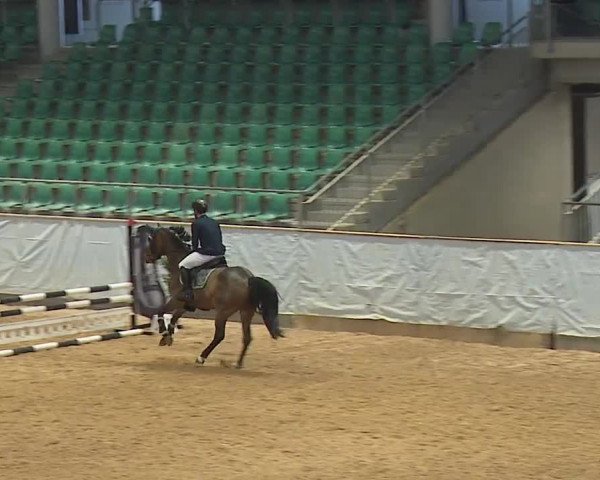 Reitturnier Kreuth/Opf. 2023
