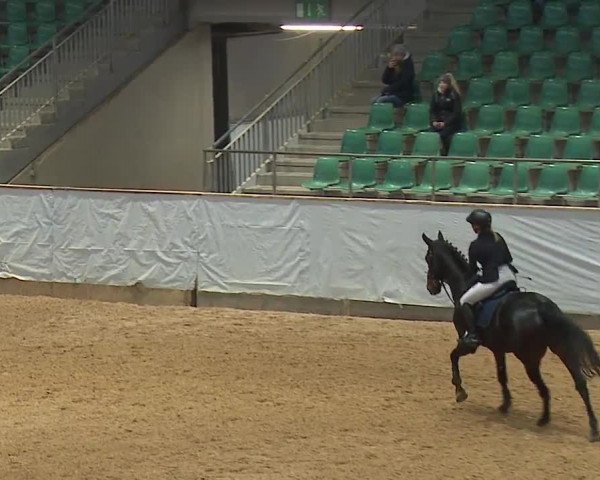 Reitturnier Kreuth/Opf. 2023