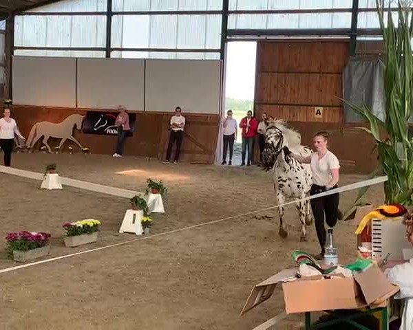 Video von VbPrSt Raffelsbrander Deluxe