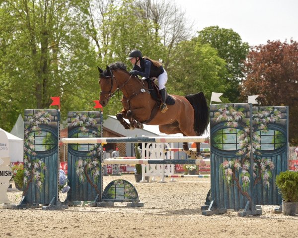 jumper Cantos 26 (Oldenburg, 2011, from Cornet's Prinz)