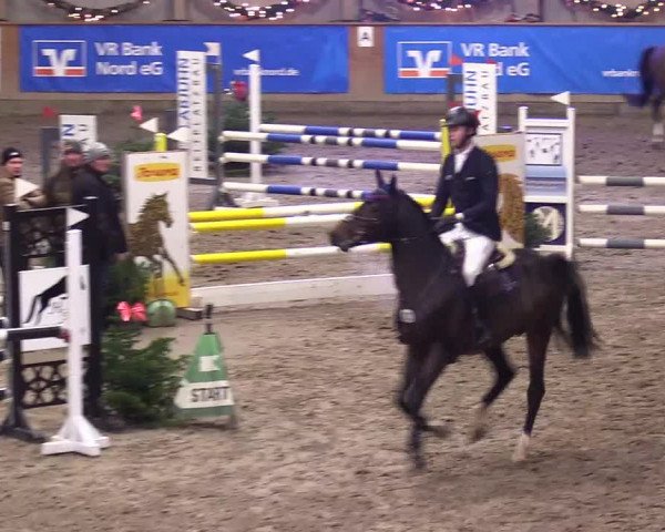 Reitturnier Leck 2023