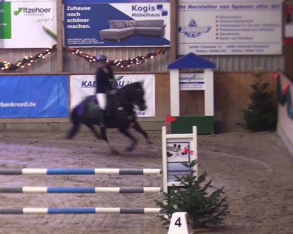 Reitturnier Leck 2023