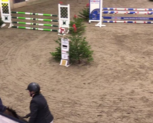 Reitturnier Leck 2023