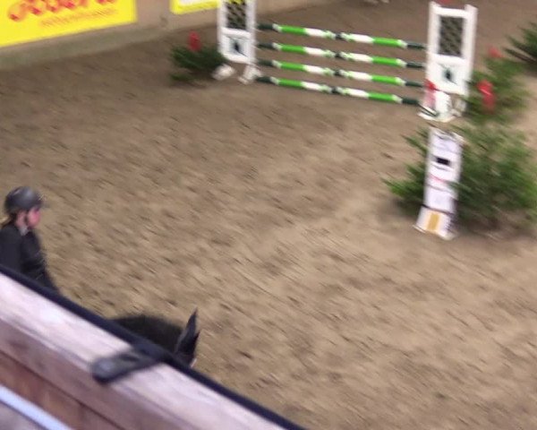 Reitturnier Leck 2023