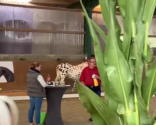 Video von VbPrSt Raffelsbrander Deluxe