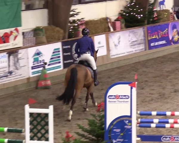 Reitturnier Leck 2023