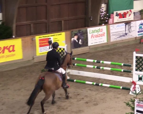 Reitturnier Leck 2023