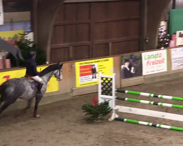 Reitturnier Leck 2023