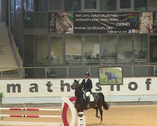 Reitturnier Kreuth/Opf. 2023