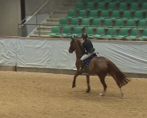 Reitturnier Kreuth/Opf. 2023
