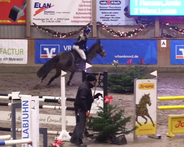 Reitturnier Leck 2023