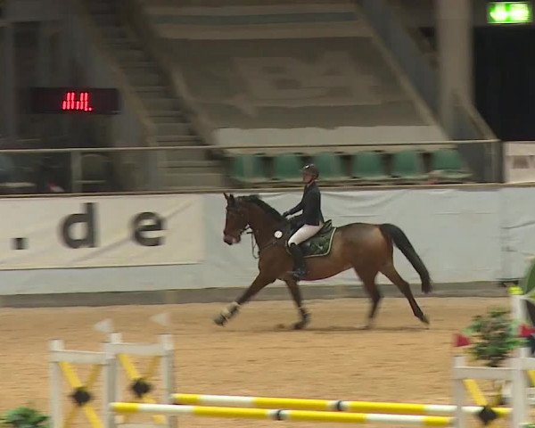 Reitturnier Kreuth/Opf. 2023