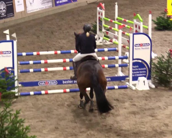 Reitturnier Leck 2023