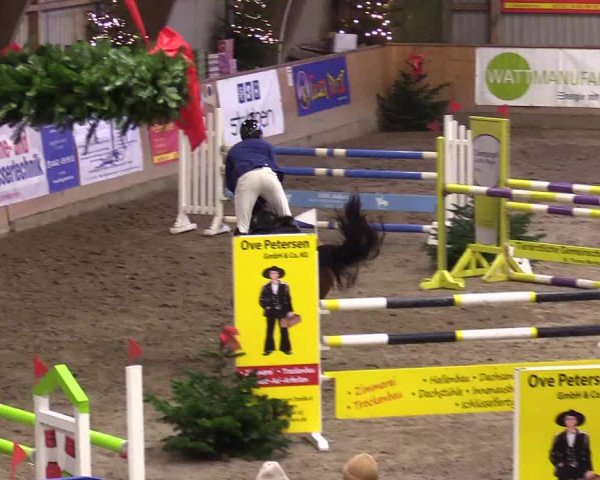 Reitturnier Leck 2023