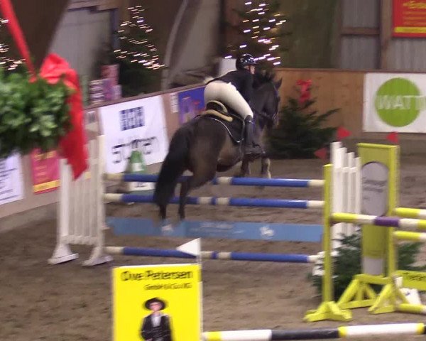 Reitturnier Leck 2023