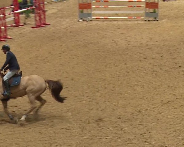 Reitturnier Kreuth/Opf. 2023