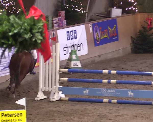 Reitturnier Leck 2023