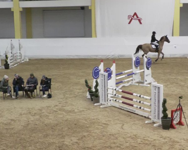 Reitturnier Stadl-Paura 2023