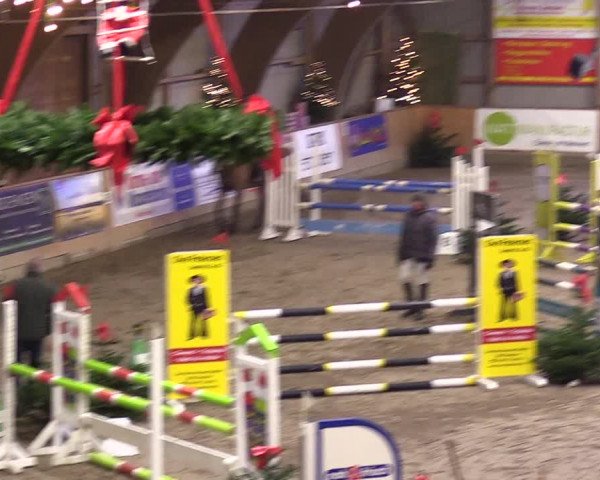 Reitturnier Leck 2023