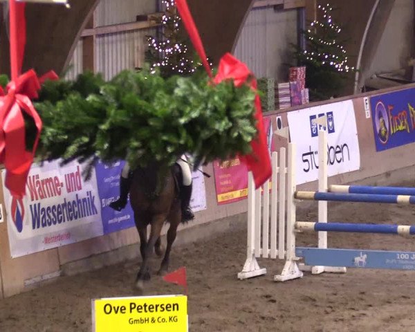 Reitturnier Leck 2023