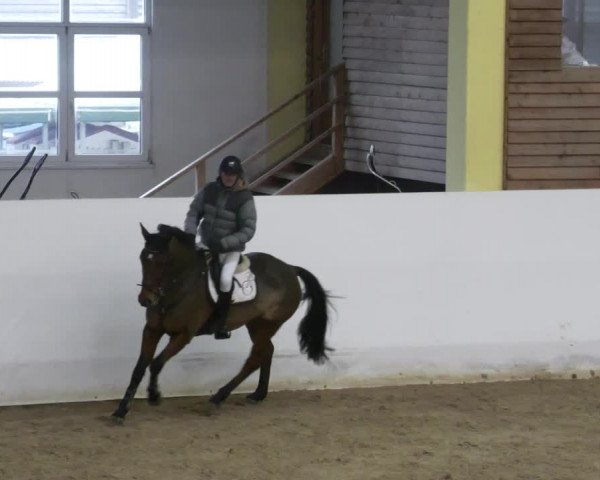 Reitturnier Stadl-Paura 2023
