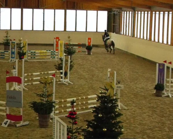 Reitturnier Fleesensee Classic´s 2023
