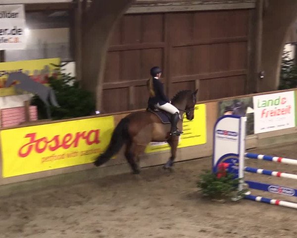Reitturnier Leck 2023