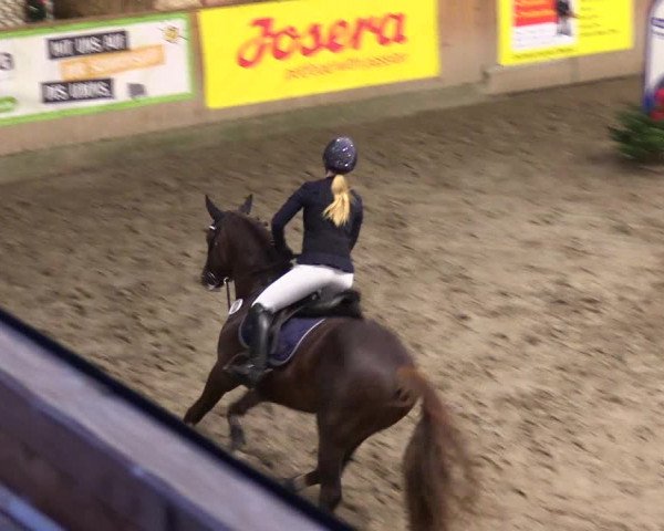 Reitturnier Leck 2023
