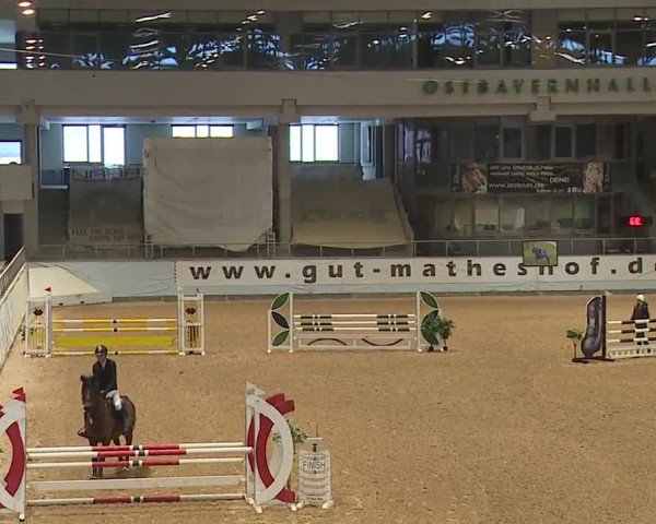 Reitturnier Kreuth/Opf. 2023
