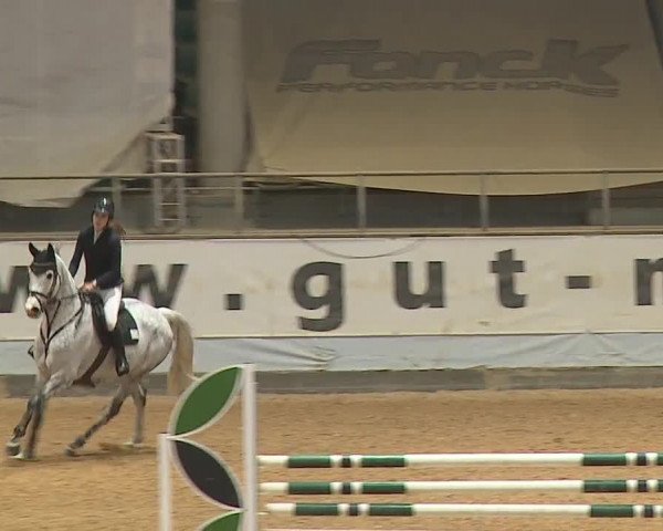Reitturnier Kreuth/Opf. 2023