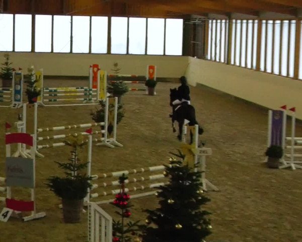 Reitturnier Fleesensee Classic´s 2023