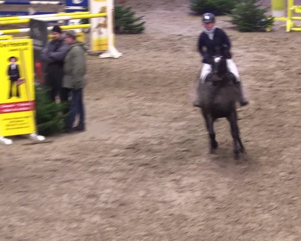 Reitturnier Leck 2023
