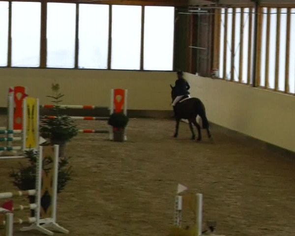 Reitturnier Fleesensee Classic´s 2023