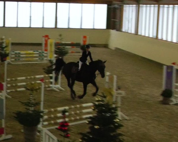 Reitturnier Fleesensee Classic´s 2023