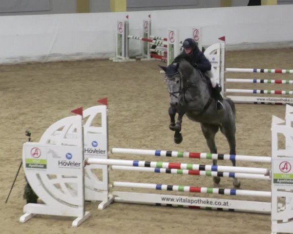 Reitturnier Stadl-Paura 2023