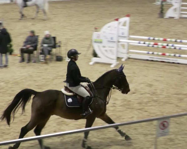 Reitturnier Stadl-Paura 2023