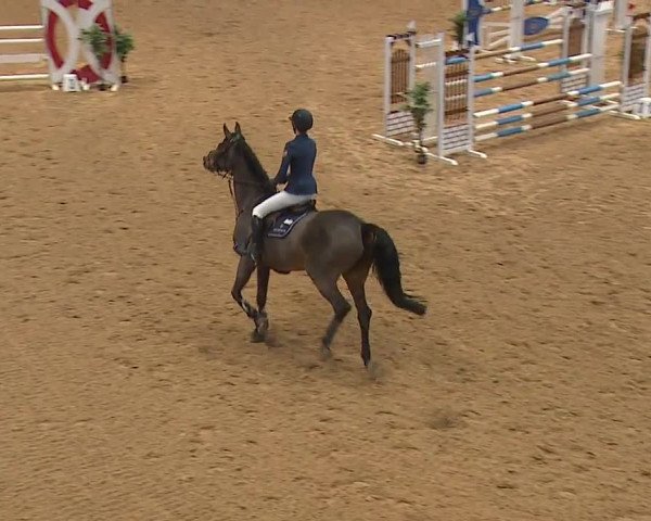 Reitturnier Kreuth/Opf. 2023