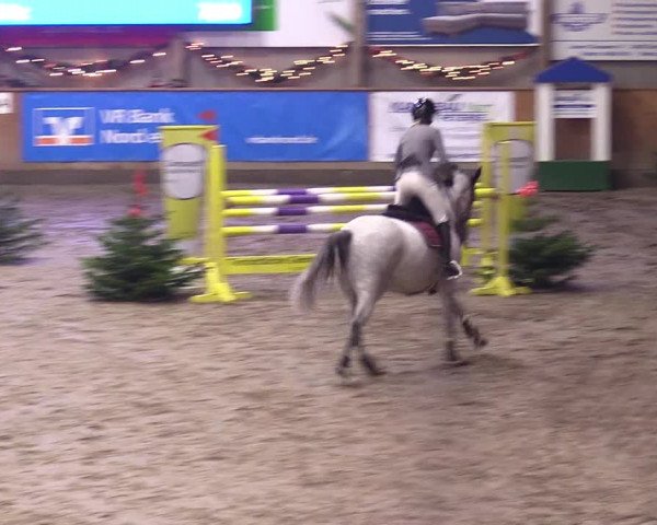Reitturnier Leck 2023