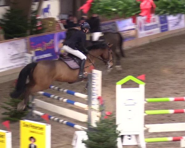 Reitturnier Leck 2023