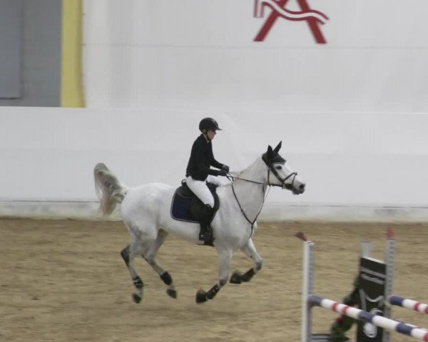 Reitturnier Stadl-Paura 2023
