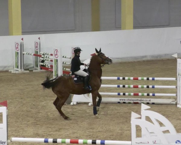Reitturnier Stadl-Paura 2023