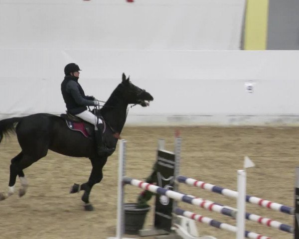 Reitturnier Stadl-Paura 2023